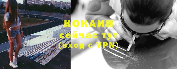 соль ск Алексеевка