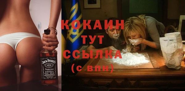 соль ск Алексеевка