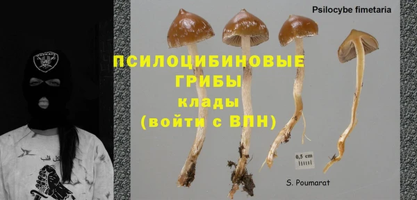 хмурый Костерёво