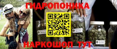 соль ск Кандалакша