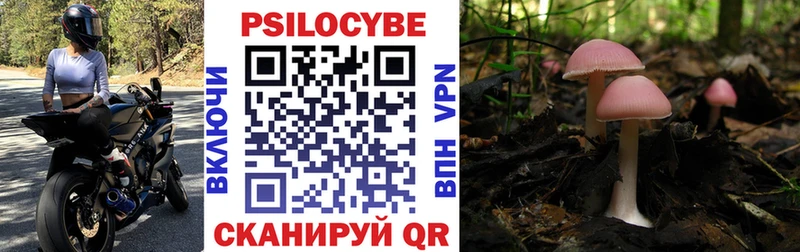 Галлюциногенные грибы мицелий купить наркотик Первоуральск