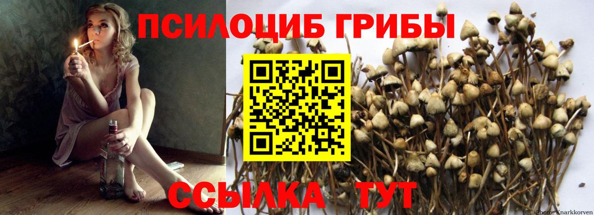 Первоуральск  как найти закладки  Вход с VPN  Псилоцибиновые грибы прущие грибы 